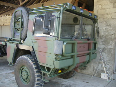 Kat neu 005.jpg