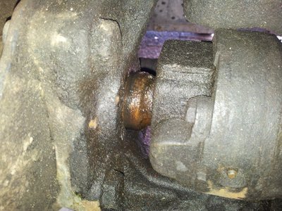 20130414_152913.jpg