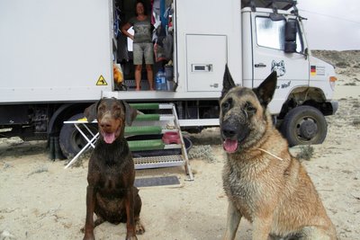 Soooo sehen zufriedene Hunde aus !!!