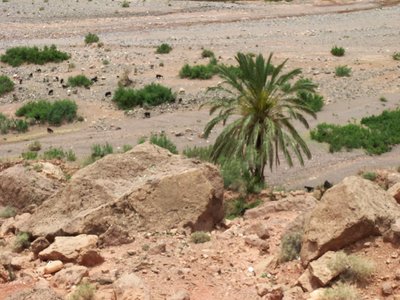 Trockene Wadis überall