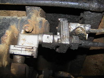 IMGA0409.JPG
