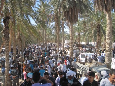 Chaos in Douz ... Donnerstag ist Markt
