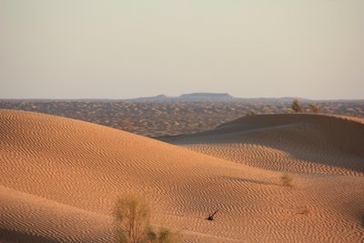Vue Jebil