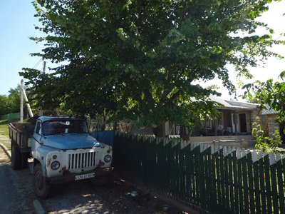 Mold.2011 Truck.jpg