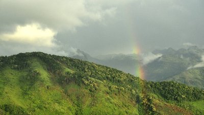 _DSC0413a.jpg