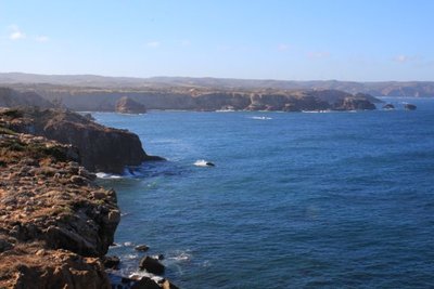 IMG_4507.jpg