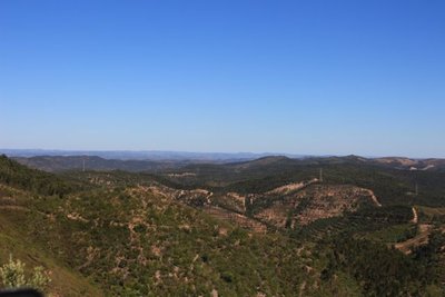 IMG_4702.jpg