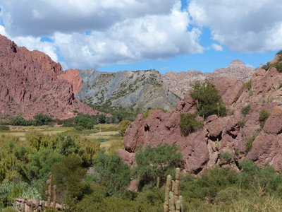 P1020156.JPG