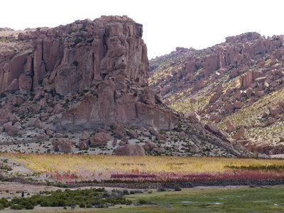 P1020347.JPG