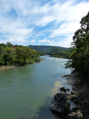 P1050711.JPG