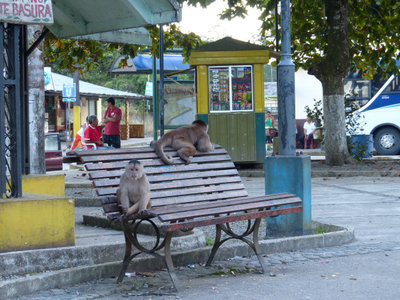 P1050741.JPG