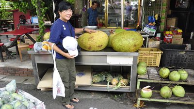Jack Fruit