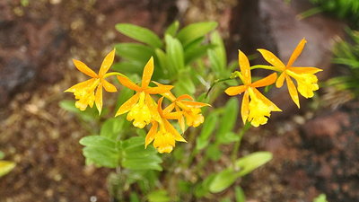 12_DSC0146a.jpg