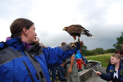 Irland_Spigel (464).JPG
