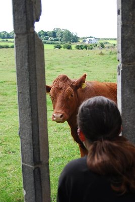 Irland_Spigel (335).JPG