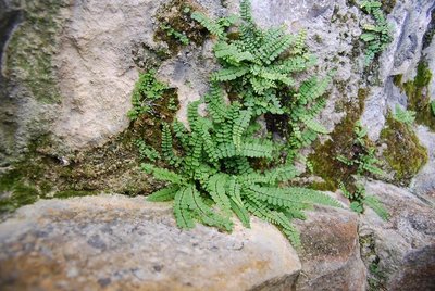 Irland_Spigel (326).JPG