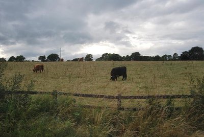 Irland_Spigel (46).JPG