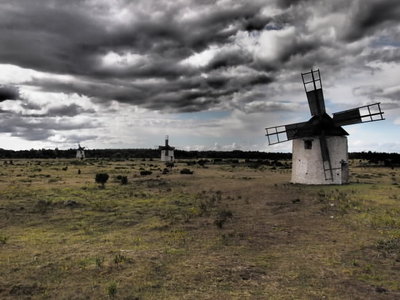 P1010317.jpg