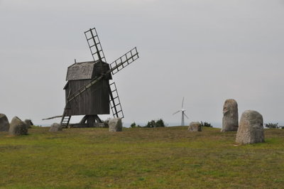 DSC_0312.jpg
