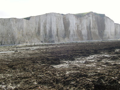SNC10027.JPG