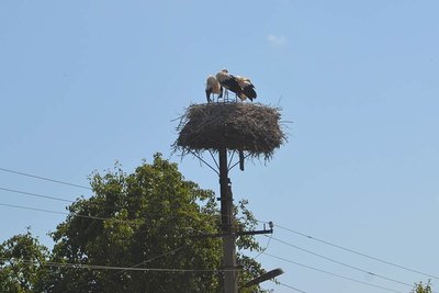 2013-08-06_13-40-40_ok.jpg