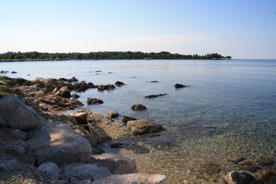 IMG_8247 (1024x683).jpg