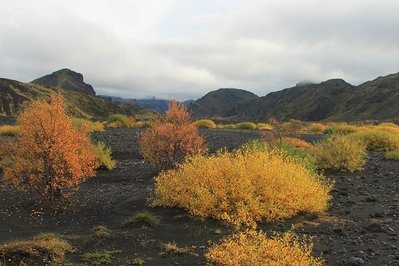 Porsmörk