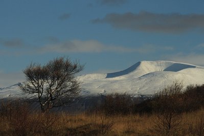 IMG_0399.jpg