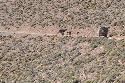 DSC_0280.JPG