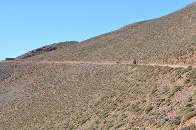DSC_0282.JPG