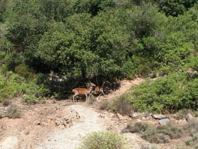 Sardinien-Ingurtosu3.jpg