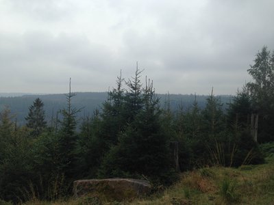 2013-10-08 13.47.14.jpg