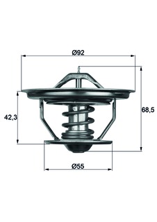 Kühlerthermostat Steyer 680gl-2.jpg