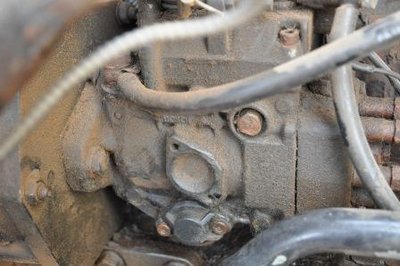 DSC_0073.JPG