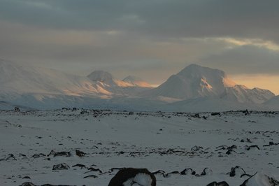 IMG_1473.jpg