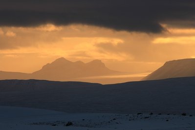 IMG_1464.jpg