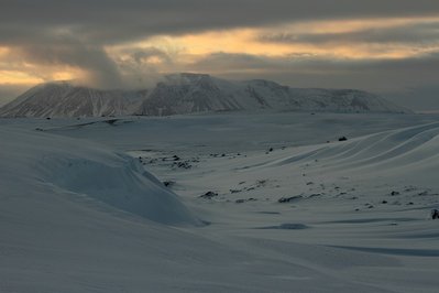 IMG_1453.jpg