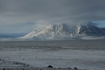 IMG_1441.jpg