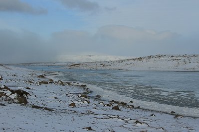 IMG_1271.jpg