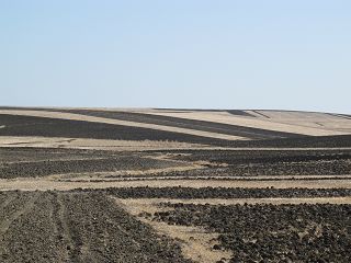 k-IMG_3847.JPG