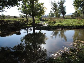 bie Ifrane