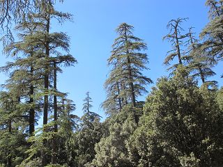 k-IMG_4061.JPG