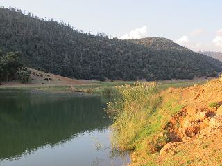 k-IMG_4124.JPG