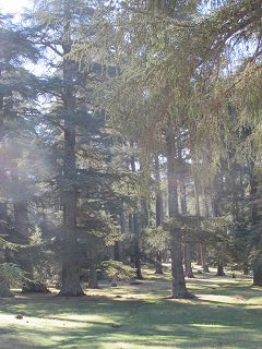 k-IMG_4151.JPG