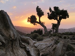 k-IMG_4218.JPG