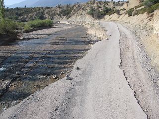 k-IMG_4236.JPG