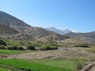 k-IMG_4239.JPG