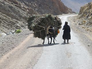 k-IMG_4293.JPG
