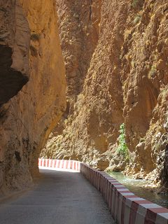 k-IMG_4406.JPG