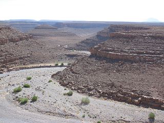 k-IMG_4532.JPG